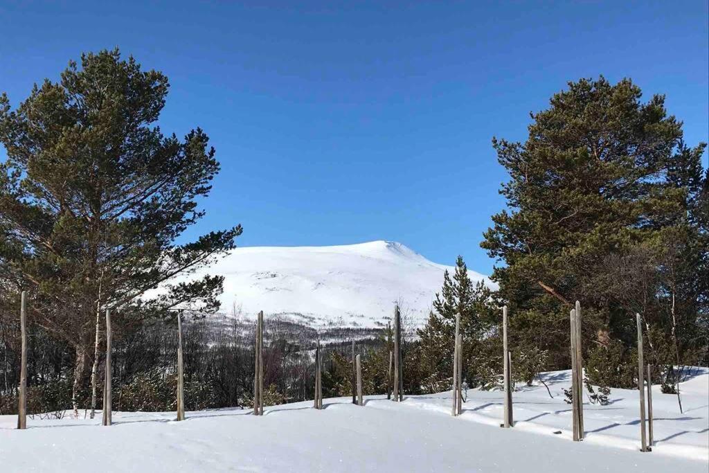 Fjellro Mountain Cabin Oppdal Bagian luar foto